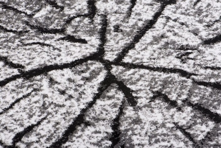 Dywan Nowoczesny do Salonu Efekt 3D Pień Drzewa 200x300 cm-3.jpg