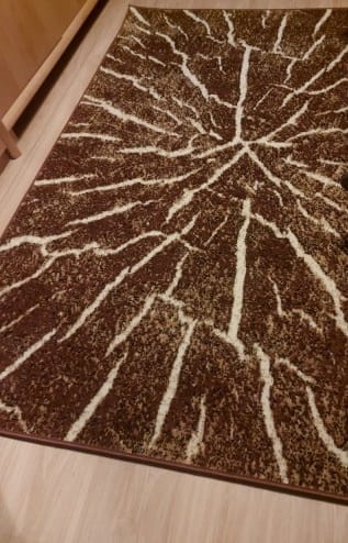 dywan-200x300-cm-nowoczesny-do-salonu-efekt-3d-pien-drzewa-4.jpg